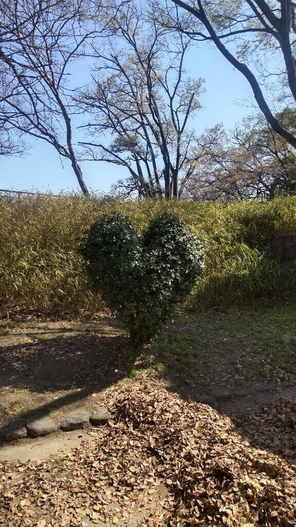 こんにちは☆
