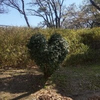 こんにちは☆
