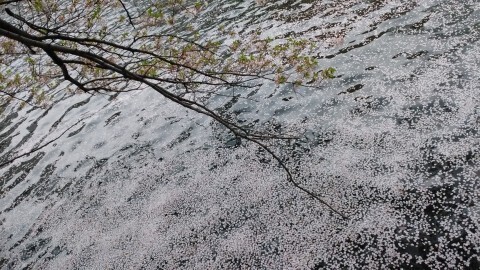 こんにちは
