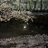 出勤いたしました