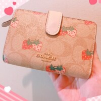 おばさんでも