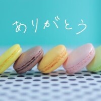 今日のお礼です