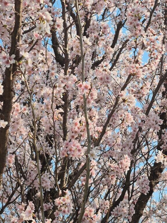 予想外