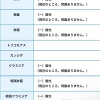 かぐや瑠々