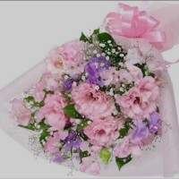 古瀬さくら