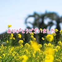 鈴谷美晴