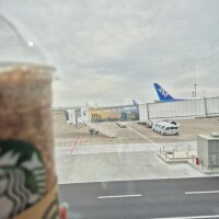 山田さわ