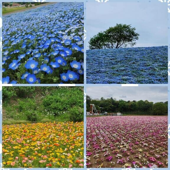 目の保養～