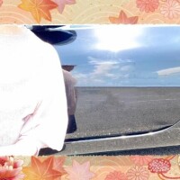 順調