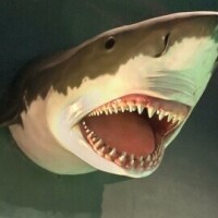 栗原りん