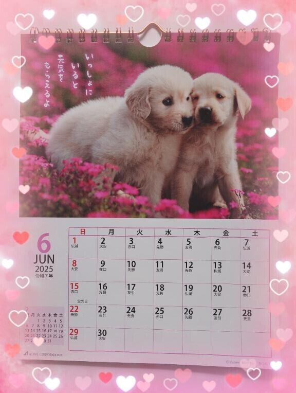 こんにちは