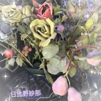 日比野紗那