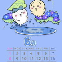 渡会りつ
