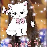 新井純子
