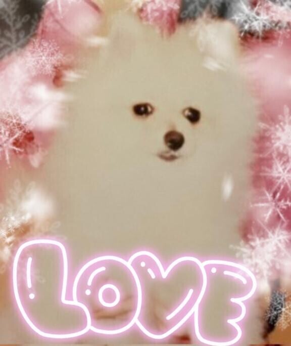 A様
