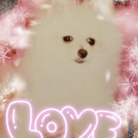新井純子