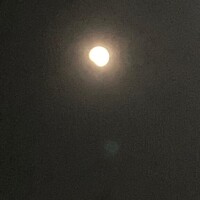 国分まさみ
