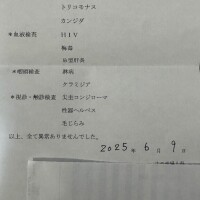 浅見しの