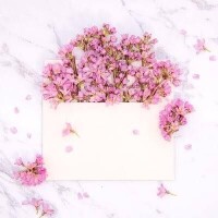 白咲花音