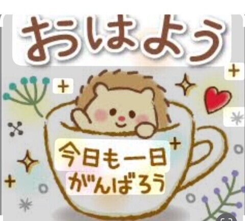 おはようございます