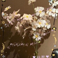 日比野紗那