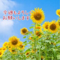 鈴谷美晴