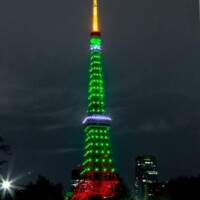 わ～！綺麗☆☆☆