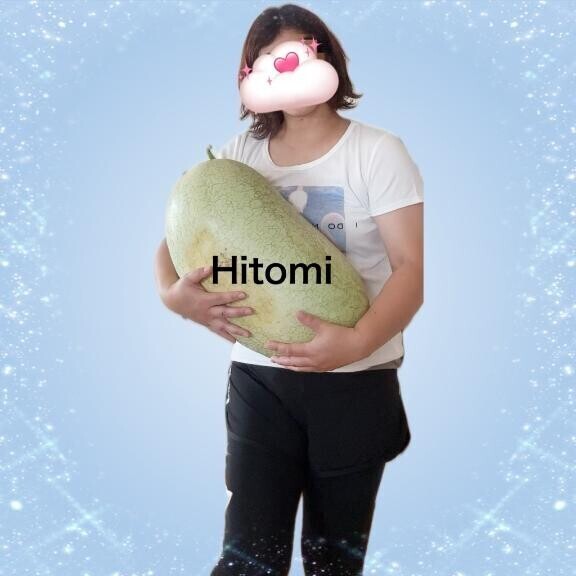 夏の主役
