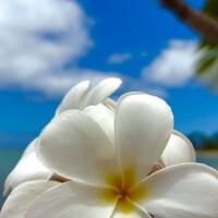 《お疲れ様でした》