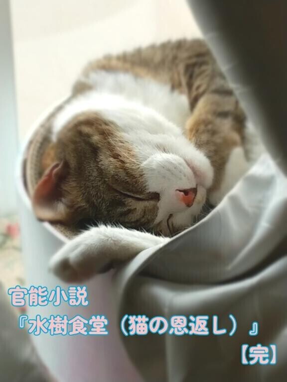 偽装プロフ写真付き『猫の恩返し』【完】