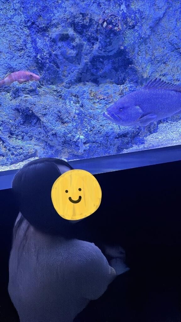休みの日の日記です。