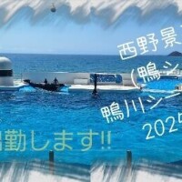 西野景子