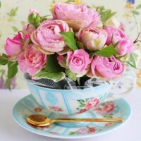 白咲花音