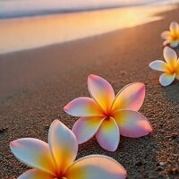深澤涼