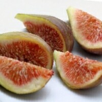 山形なつこ