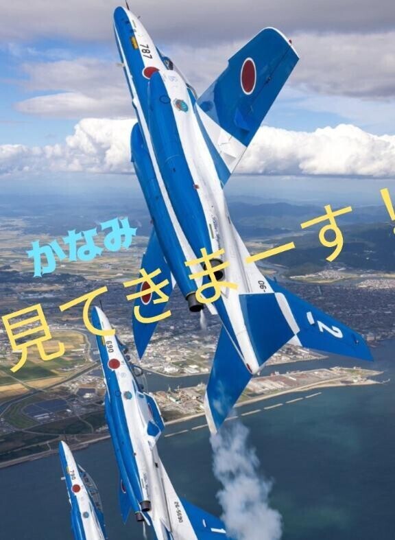 見に行きまーす！ 入って来まーす！
