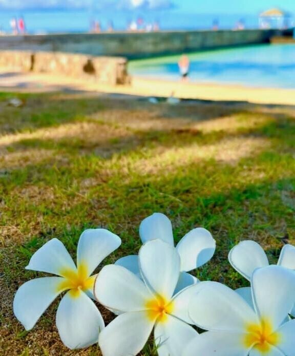 《おはようございます》