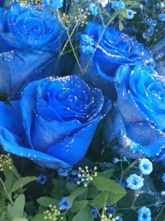 お誘い頂きましてありがとうございます