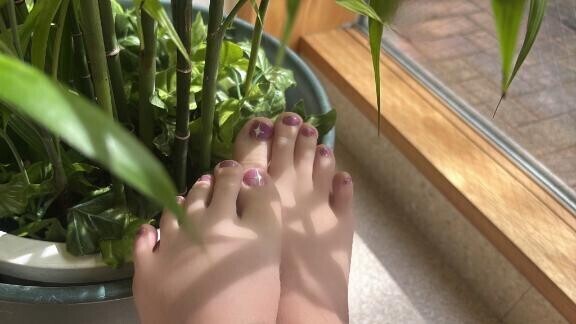 また、妄想がはじまる。