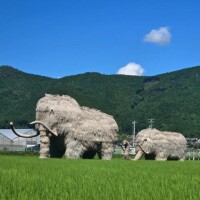 香野しおね