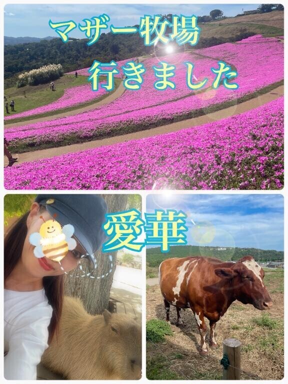 マザー牧場行きました♪