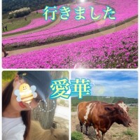 東愛華
