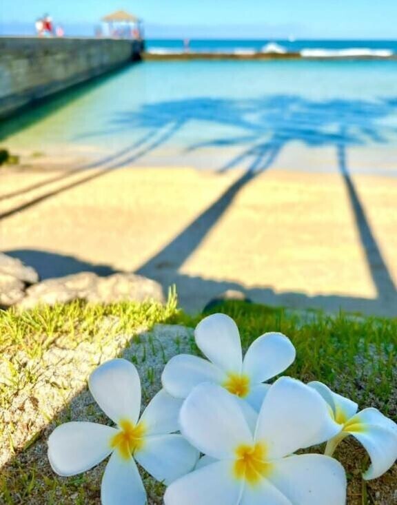 《シフト出た為出勤アップします》