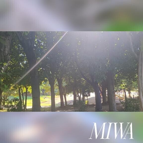 晩夏と初秋の狭間に…