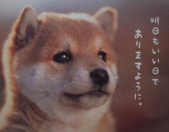 25日(木)のありがとう