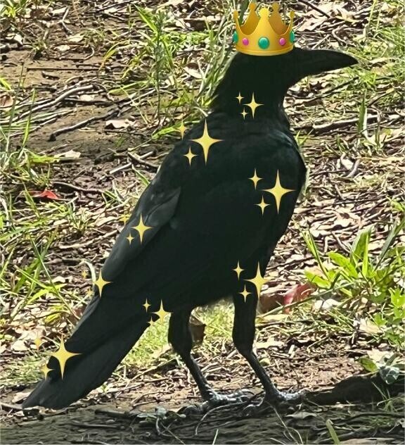 最上級で...イク?