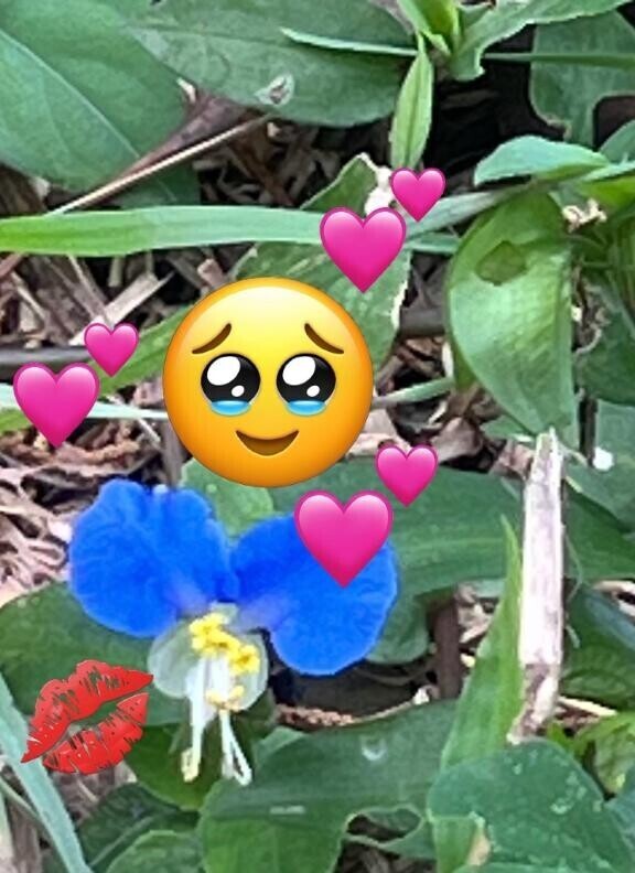 逢いたい人に会えない切なさを