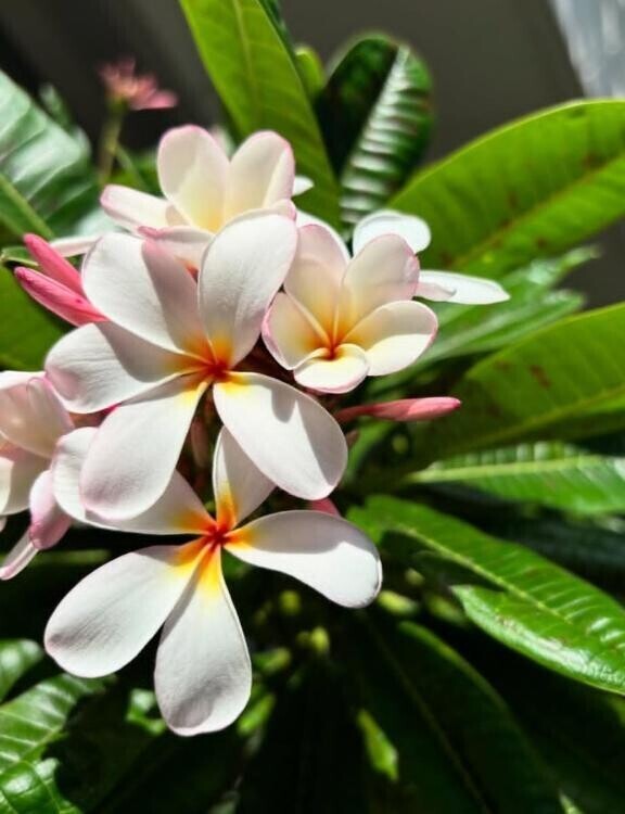 《びっくりした事が》