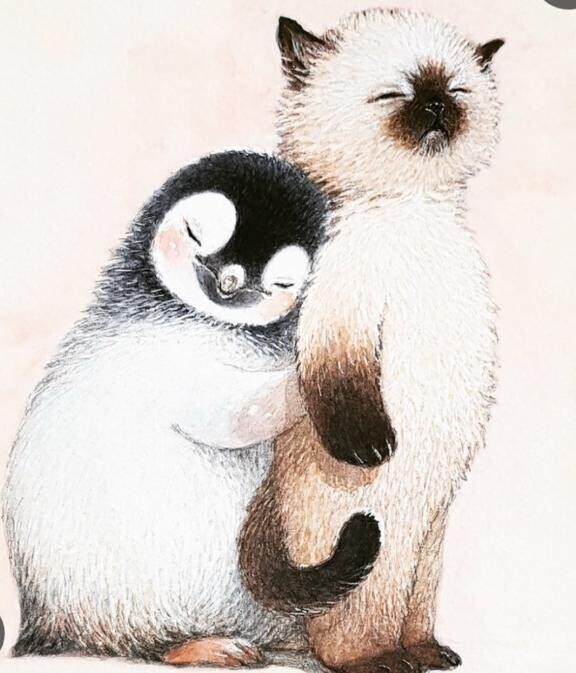 心もぴたっとできるかなぁ