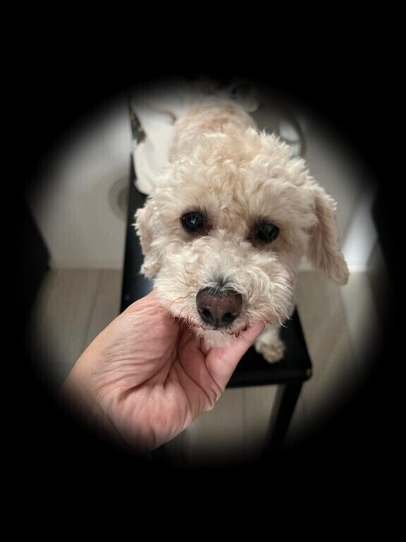 おはようございます??